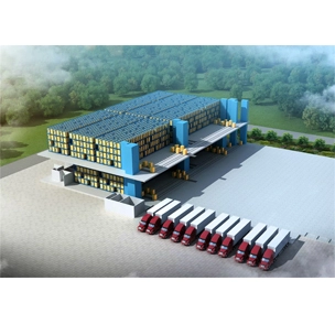 Shuttle & Carrier Intelligent Warehouse Storage System